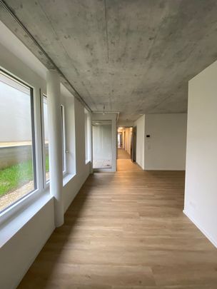 "moderne 1.5 Zimmerwohnung an ruhiger Lage" - Photo 1