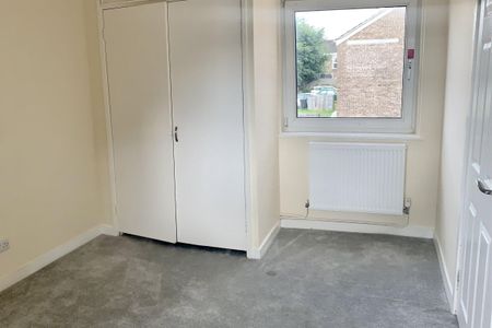 Redwood Lane - Photo 3