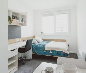 Premium Single Studio - Photo 4