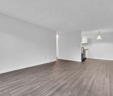 Dolphin Square Apartments - 1 Bedroom - Photo 5