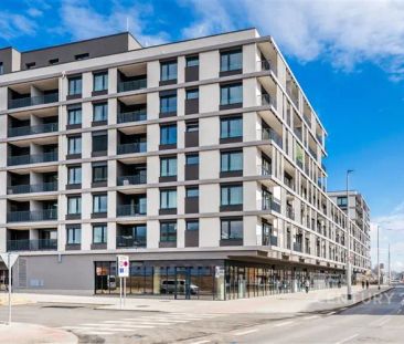 Pronájem bytu 1+kk v exkluzivním projektu Kolbenova park - Photo 1