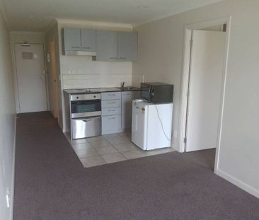 New paint and carpet - One bedroom unit - Photo 2