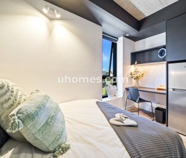 Panoramic Double Studio (33-38) - Photo 2