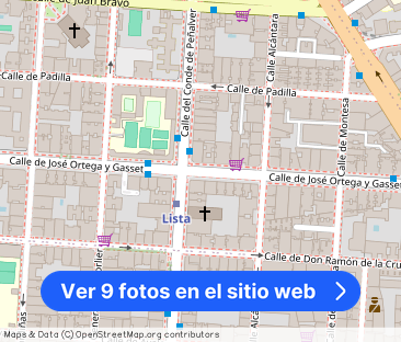 Calle de José Ortega y Gasset - Foto 1