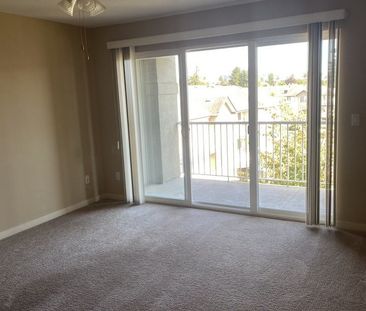 33353 Marshall Road apartment — Abbotsford, BC (1-Bedroom) - 1 Bedroom - Photo 3
