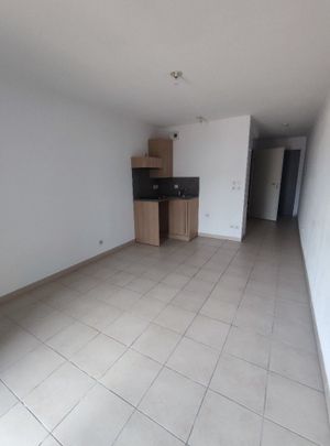 Location Appartement 1 pièce 24m² SETE 34200 - Photo 1