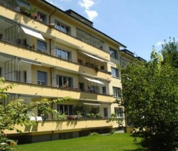 2.5 Zimmer Wohnung - Photo 2