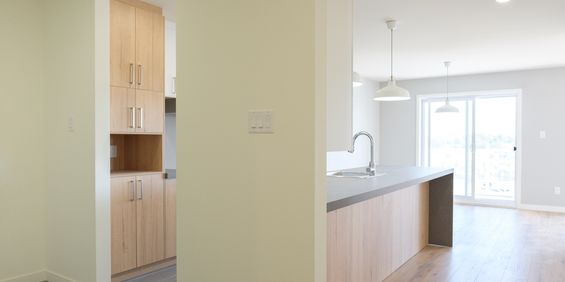 5 1/2 à Lévis - Photo 3