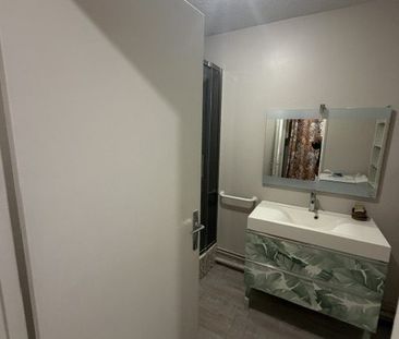 Location Appartement 1 pièce 35m² IVRY SUR SEINE 94200 - Photo 3
