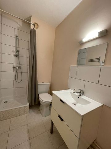 Location Appartement 1 pièce 24m² - Photo 3
