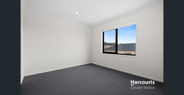 Brand New Home with Park Views - Photo 1