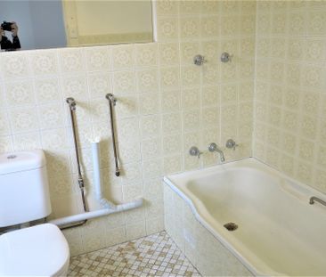 Renovated 1 Bedroom Apartment - Photo 1