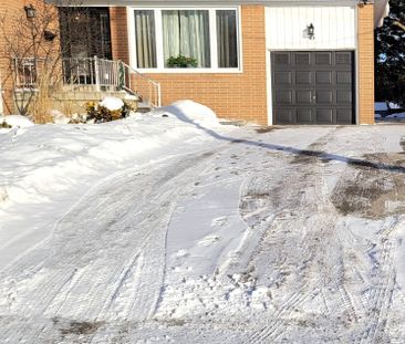 For Lease - 45 Lewis Drive Unit# Lower, Newmarket, Ontario - Photo 4