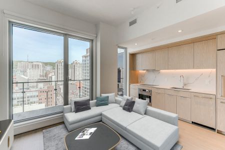 Apartment for rent, Montréal (Ville-Marie) - Photo 2