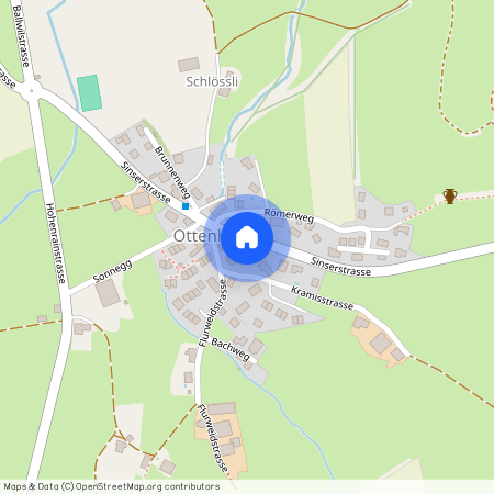 Sinserstrasse 12, 6275 Ballwil