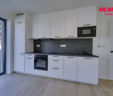 Pronájem bytu 1+kk a garsoniéry 40 m² - Photo 3