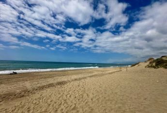 Planta baja de alquiler en N/a, -1, Romana Playa