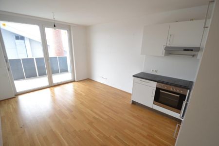 Liebenau – 52m² – 3 Zimmer Wohnung – großer westseitiger Balkon - Foto 4