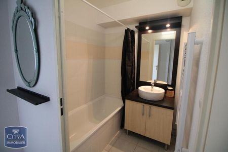 Location Appartement 1 pièce 20m² SEYSSES 31600 - Photo 3