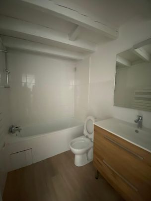 Location Appartement 1 pièce 28m² LYON 7ème - Photo 1
