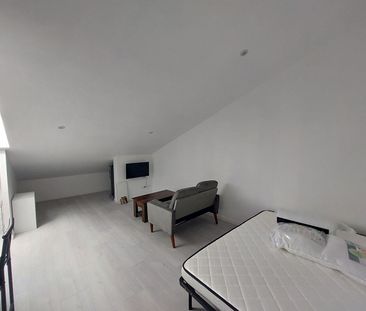 Location Appartement 1 pièce 19m² - Photo 1