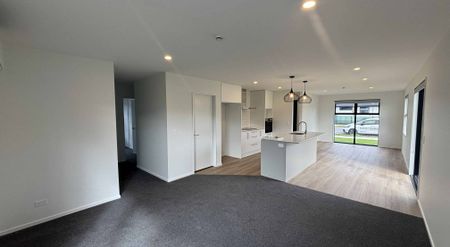 Brand New Four-Bedroom Sun Filled Home - Photo 4