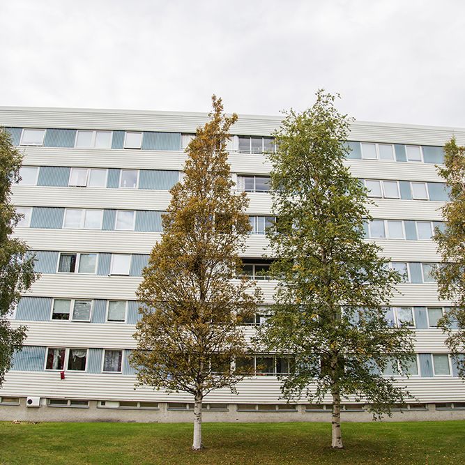 Hamnplan 20 B, 94161, Piteå - Foto 1