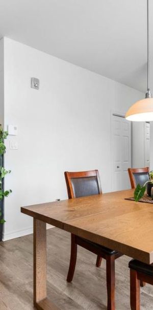 À LOUER | 4 ½ à Saint-Lambert | disponible maintenant - Photo 1