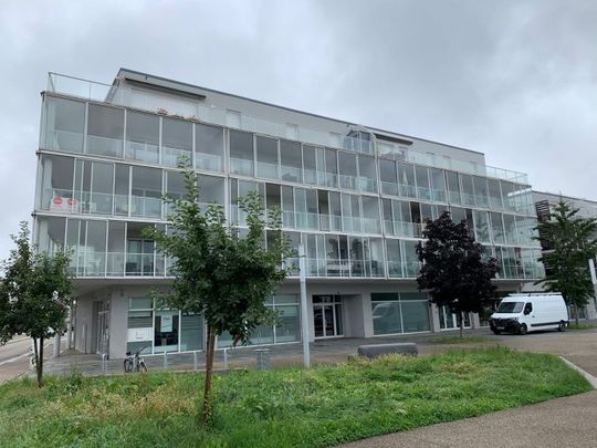 T1 Ostwald - Photo 1