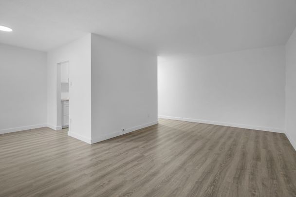 For Lease - 227 Cathcart Street Unit# 107, London South, Ontario - Photo 1