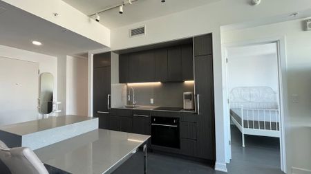 1288 Av. des Canadiens-de-Montréal, app.4004, H3B 2S2, H3B 2S2, Montréal - Photo 3