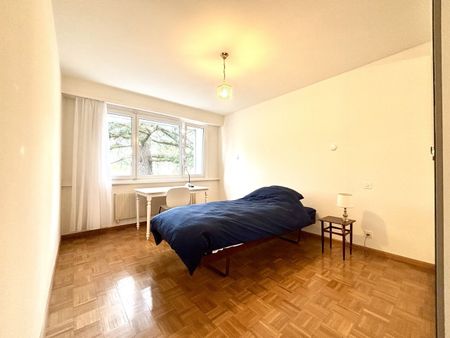 Beautiful furnished apartment with large terrace in quiet area in Nyon - Photo 5