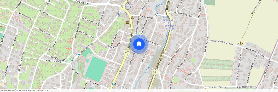 Schafmattweg 23, 4102 Binningen