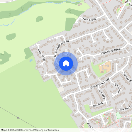 Brushwood Avenue, Flint, CH6