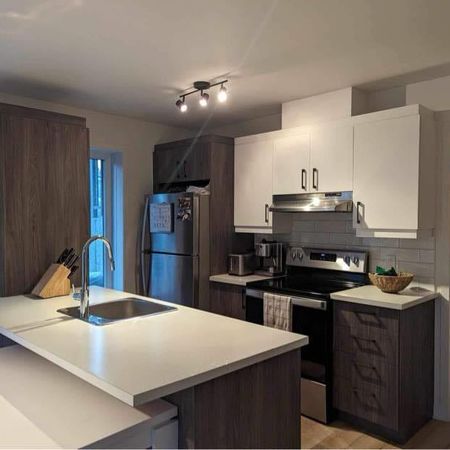 3 et demi a louer animaux acceptés - Photo 3