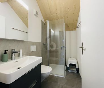 LOTS OF SPACE, BRIGHT AND NATURE-CLOSE - Photo 4