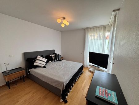 Splendid Penthouse with a panoramic view of the lake - Photo 4