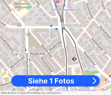 Modern apartment in the immediate vicinity of the Schaffhauserplatz - Foto 1