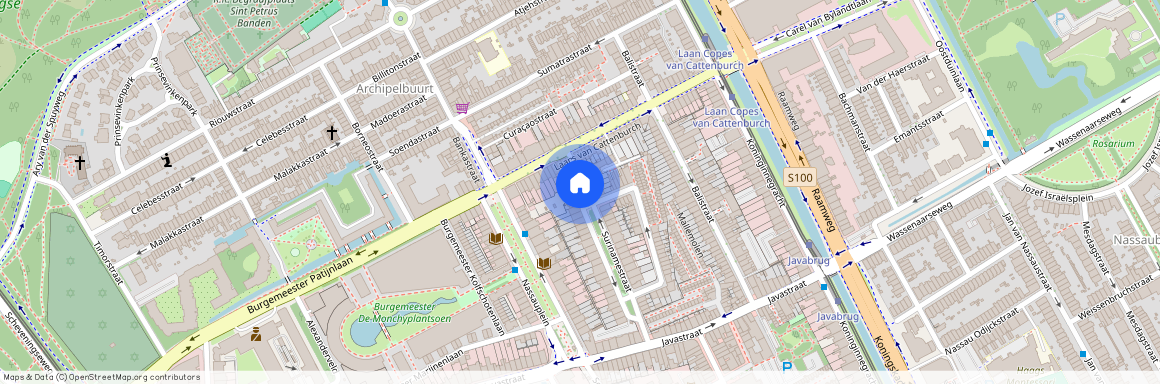 Surinamestraat 48, 2585GK, 'S-Gravenhage