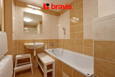 Pronájem bytu 1+1, Brno - střed, ul. Mezírka, částečně zařízený - Photo 4
