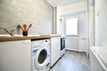 TEIUL DOAMNEI-BERECHET, RENOVATA MOBILATA MODERN, 0%COMISION - Fotografie 5