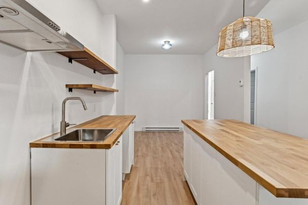 4401 Rue Messier, H2H 2H8, H2H 2H8, Montréal - Photo 1