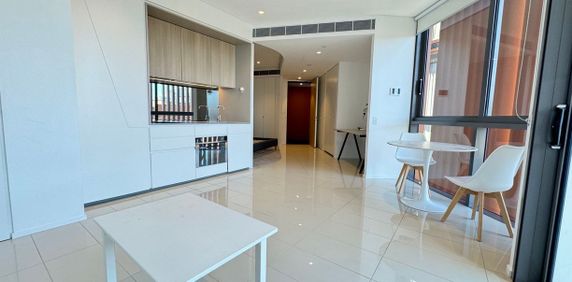 NEAR NEW LUXURY FURNISHED ONE BEDROOM SUITE APARTMENT - Photo 2