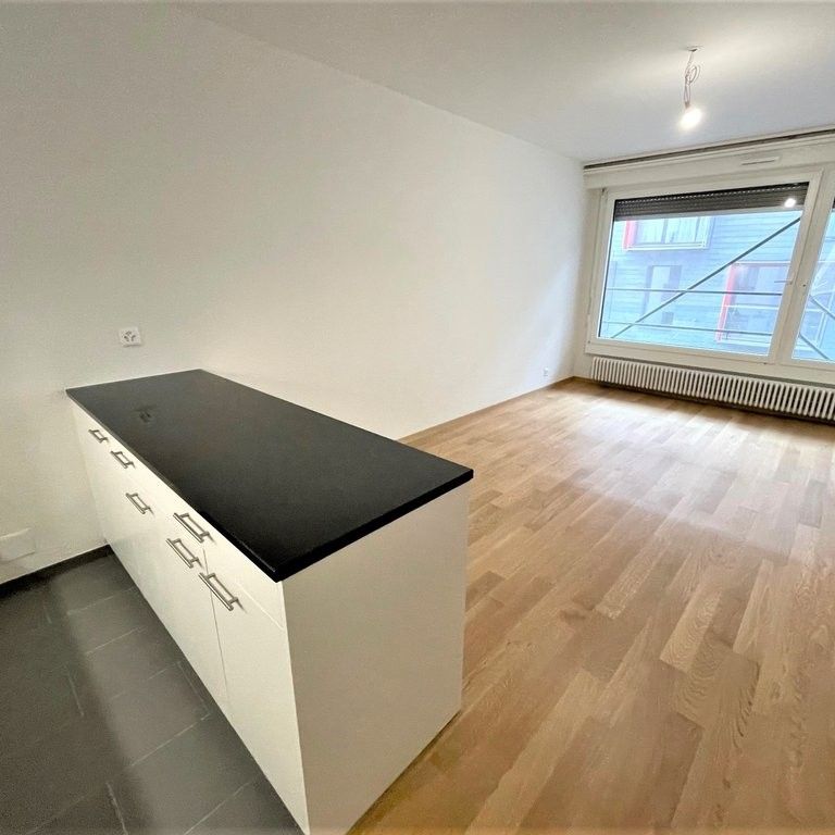 Au coeur des Eaux-Vives - Photo 1