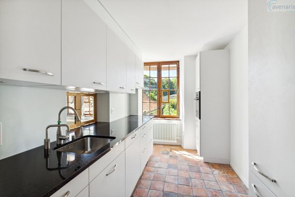 Lovingly renovated city apartment in the center of Basel - Photo 1