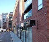 Apt 1.01 :: Ice Plant - Photo 4