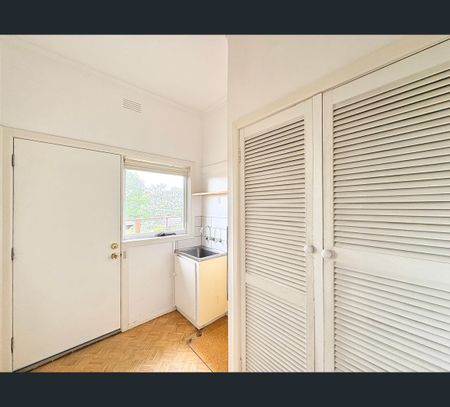 45 Cara Road, Highton, Vic 3216 - Photo 3