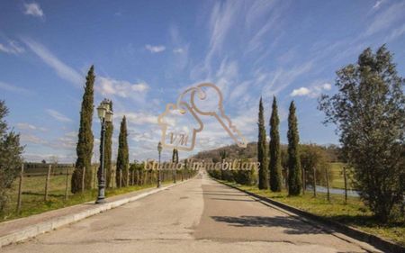 Villa bifamiliare via Terre dei Consoli, 1, Monterosi - Photo 4
