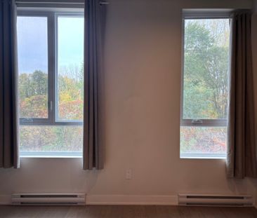 Appartement à louer - Montréal (Mercier/Hochelaga-Maisonneuve) (Hoc... - Photo 4