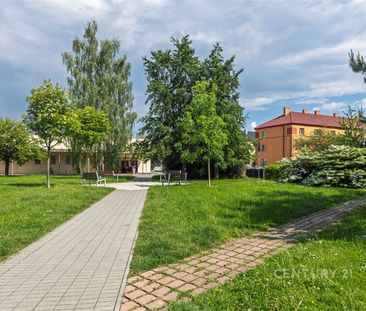 Pronájem bytu 2+1 55 m² - Photo 6